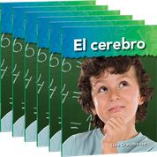 El cerebro 6-Pack