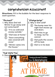 Owl at Home Comprehension Assessment