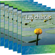 Las charcas 6-Pack