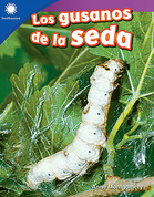 Los gusanos de la seda ebook