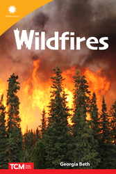 Wildfires ebook