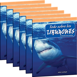 Todo sobre los tiburones 6-Pack