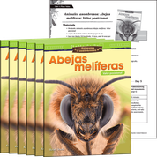 Animales asombrosos: Abejas melíferas: Valor posicional 6-Pack