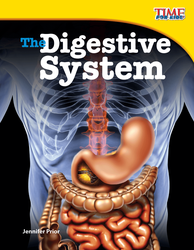 The Digestive System