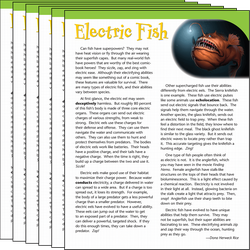 Electric Fish Text Card 6-Pack