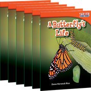 A Butterfly's Life 6-Pack