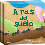 A ras del suelo 6-Pack