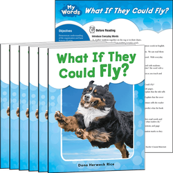 What If They Could Fly? 6-Pack