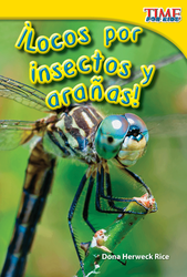 ¡Locos por insectos y arañas!