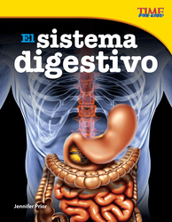 El sistema digestivo