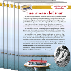 Recolectoras de perlas: Las amas del mar 6-Pack