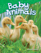 Baby Animals