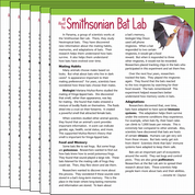 All About the Smithsonian Bat Lab Text Card 6-Pack