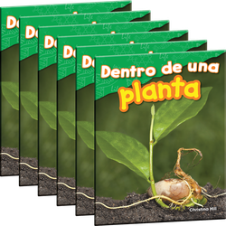 Dentro de una planta 6-Pack