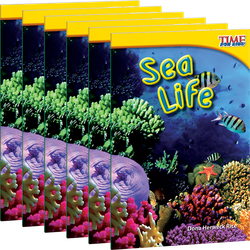 Sea Life 6-Pack