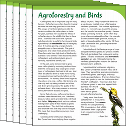 Agroforestry and Birds 6-Pack