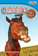 Caballos de cerca