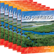 Los pantanos 6-Pack