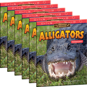 Amazing Animals: Alligators: Multiplication 6-Pack