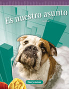 Nuestro negocio ebook