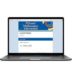 Focused Mathematics: Digital Add-on: Level 2