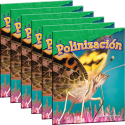 Polinización 6-Pack