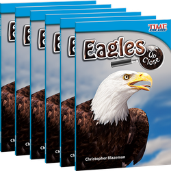 Eagles Up Close 6-Pack