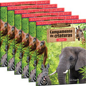 Animales asombrosos: Campamento de criaturas: División 6-Pack