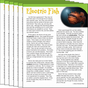 Electric Fish Text Card 6-Pack