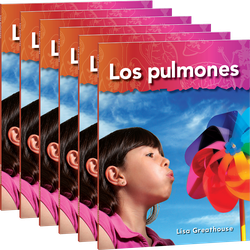 Los pulmones 6-Pack